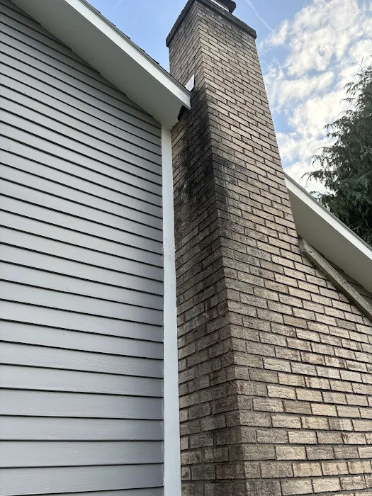 Accurate Pest Control Picture 2
