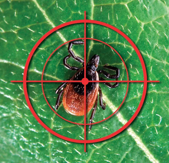 Tick Ranger Picture 9