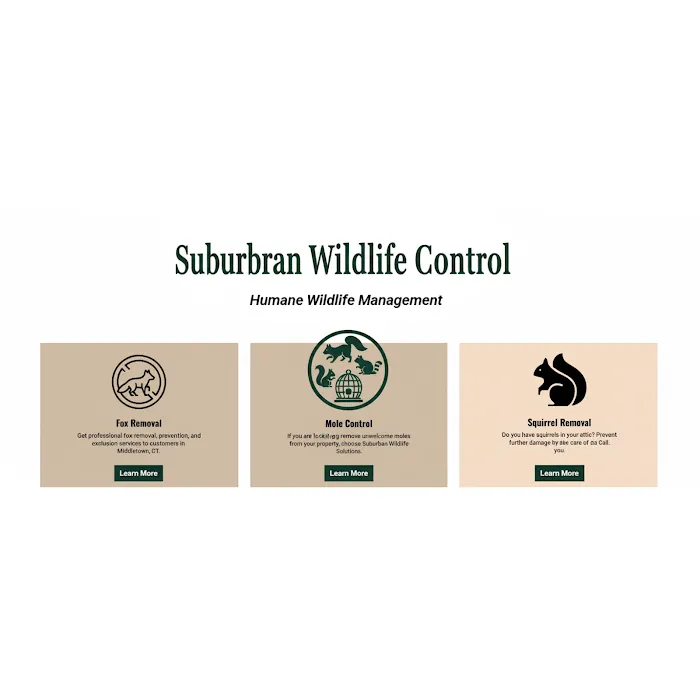 Suburban Wildlife Solutions LLC Picture 3