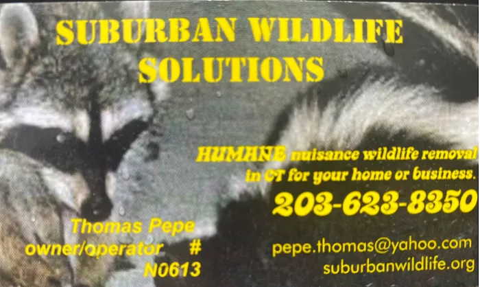Suburban Wildlife Solutions LLC Picture 4