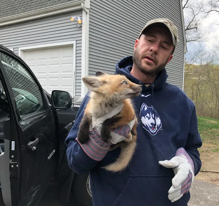Suburban Wildlife Solutions LLC Picture 7