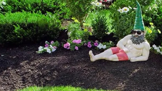 Lawn Doctor of Middletown-Groton-Tolland-Torrington Picture 8