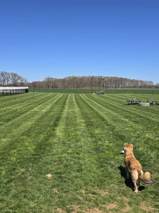 Lawn Doctor of Middletown-Groton-Tolland-Torrington Picture 10