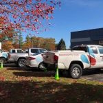Modern Pest Services