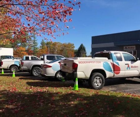 Modern Pest Services