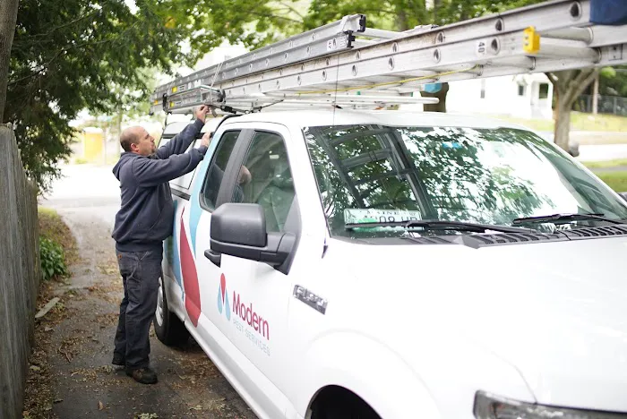 Modern Pest Services Picture 9
