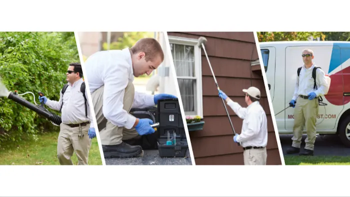 Modern Pest Services Picture 5