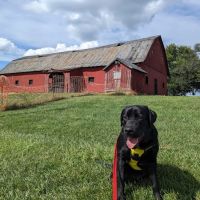 Suffolk County Tick & Mosquito Spraying ico