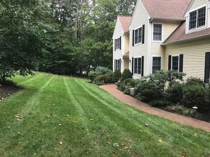 Green Team Lawn Care Picture 9