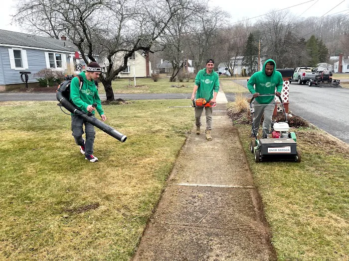 Green Team Lawn Care Picture 5
