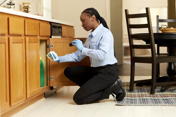 Waltham Pest Services Picture 4