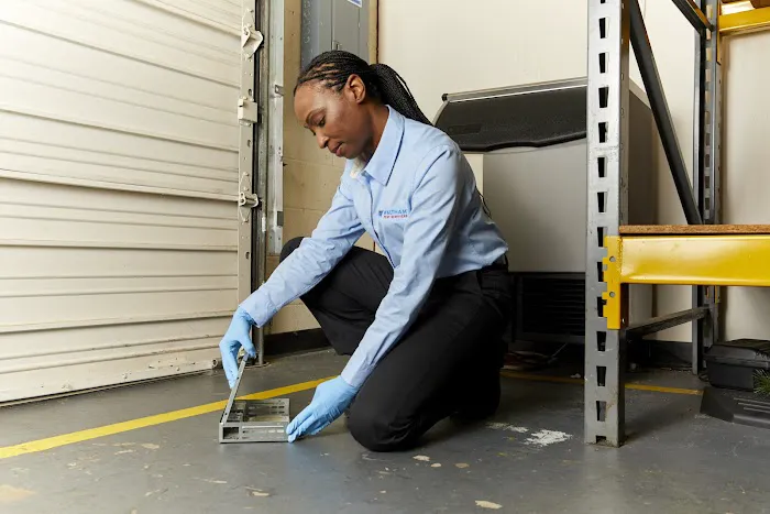 Waltham Pest Services Picture 6