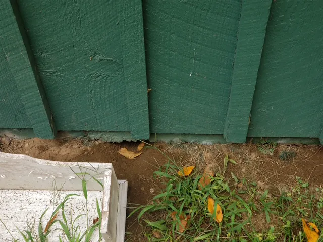 Mosquito and Pest Nation of Eastern CT Picture 10
