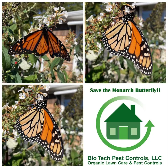 Bio Tech Pest Controls LLC Picture 7