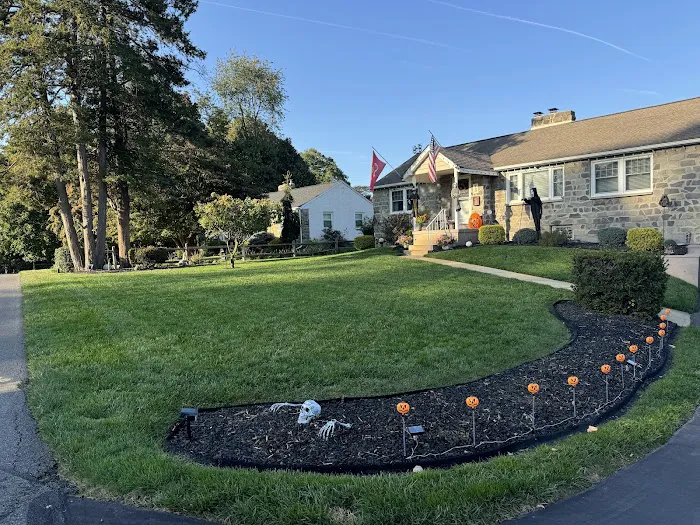 Ned's Lawn and Pest Control Picture 9
