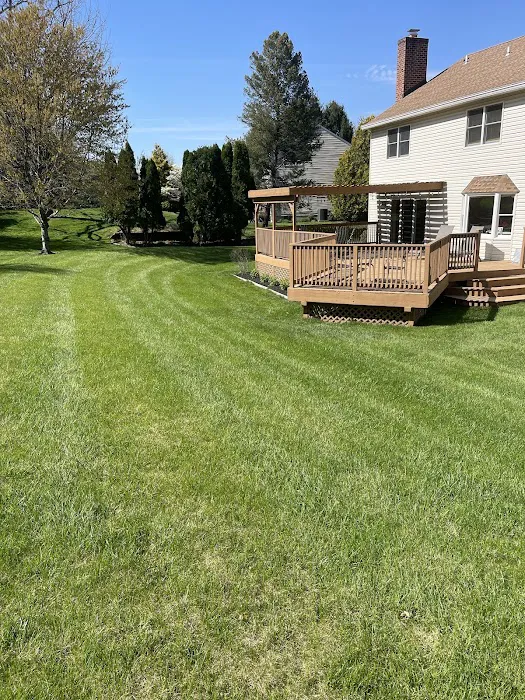 Ned's Lawn and Pest Control Picture 4