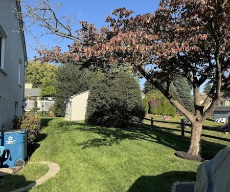 Ned's Lawn and Pest Control