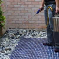 Source Termite & Pest Control, LLC ico