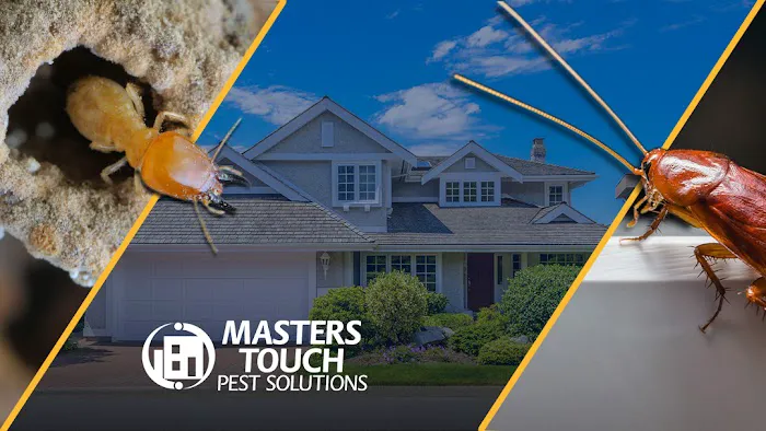 Masters Touch Pest Solutions- A Division of Viking Pest Control Picture 5