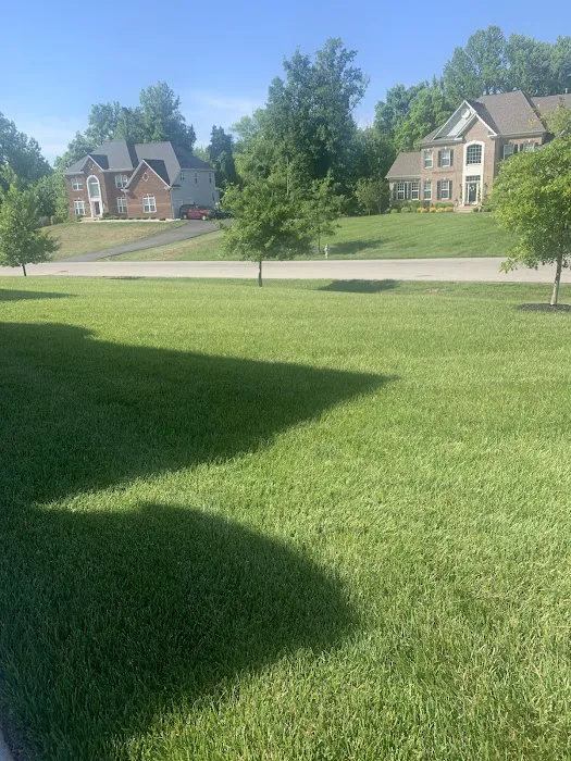 Ned's Lawn and Pest Control Picture 1