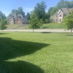 Ned's Lawn and Pest Control