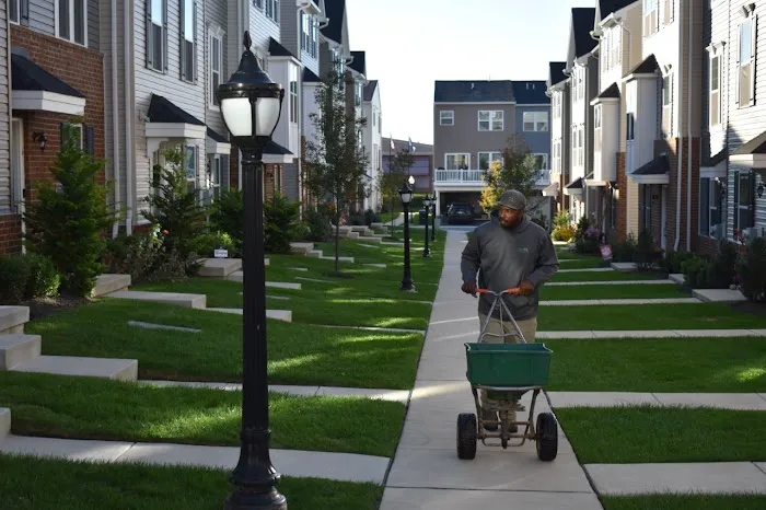 Ned's Lawn and Pest Control Picture 10