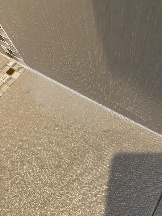 Bed Bugs, Etc. Pest Control Picture 1