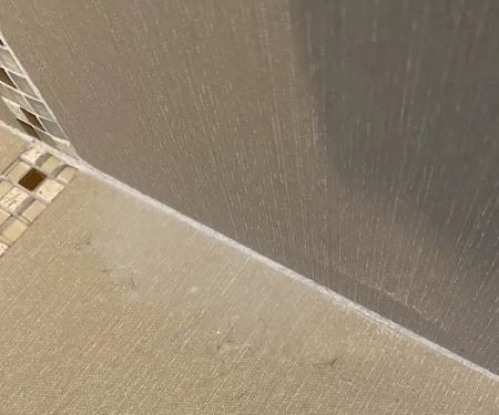 Bed Bugs, Etc. Pest Control