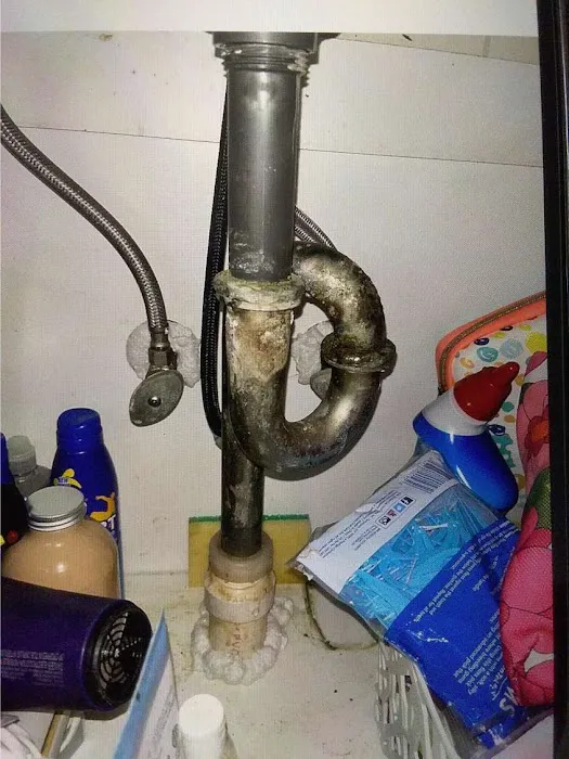 Bed Bugs, Etc. Pest Control Picture 4