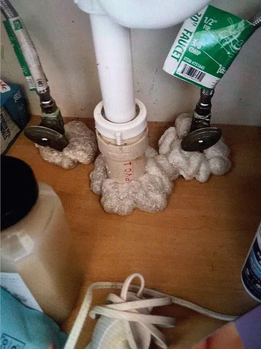 Bed Bugs, Etc. Pest Control Picture 2