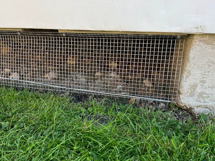 Evolved Wildlife Solutions, LLC Picture 7