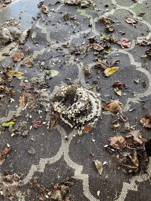 TerraSafe Pest Control & Landscape Picture 7