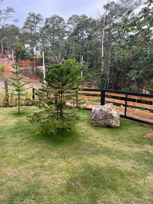 TerraSafe Pest Control & Landscape Picture 6