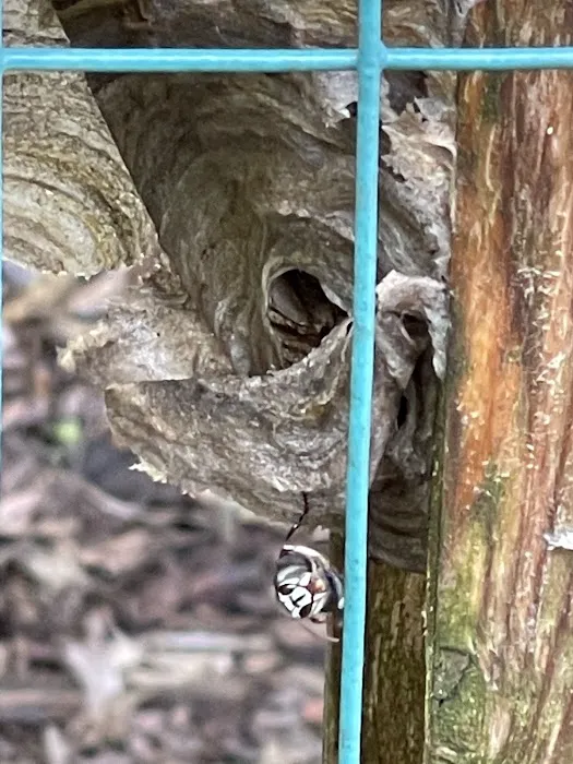 TerraSafe Pest Control & Landscape Picture 1