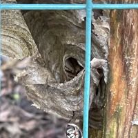 TerraSafe Pest Control & Landscape ico
