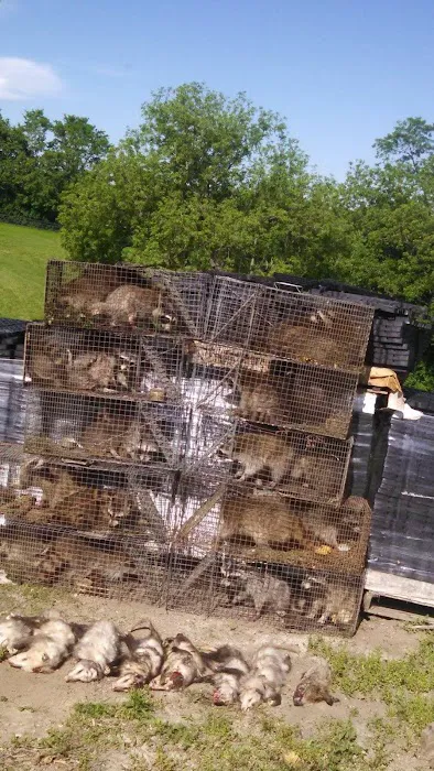 Pest Control Total P&A Picture 1