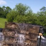 Pest Control Total P&A