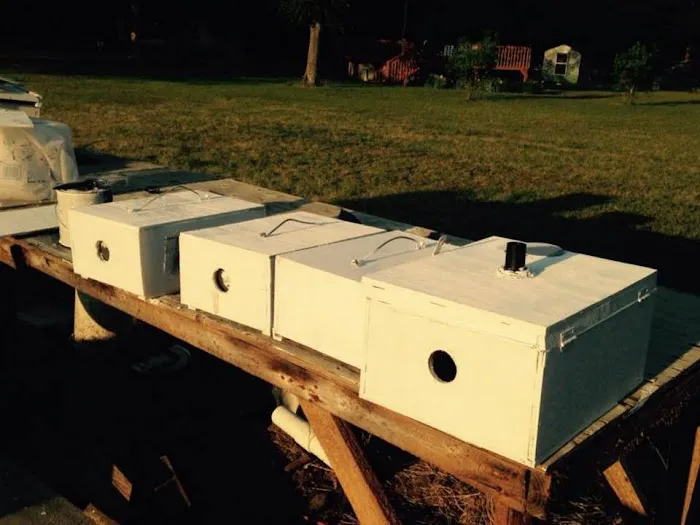 Pest Control Total P&A Picture 9