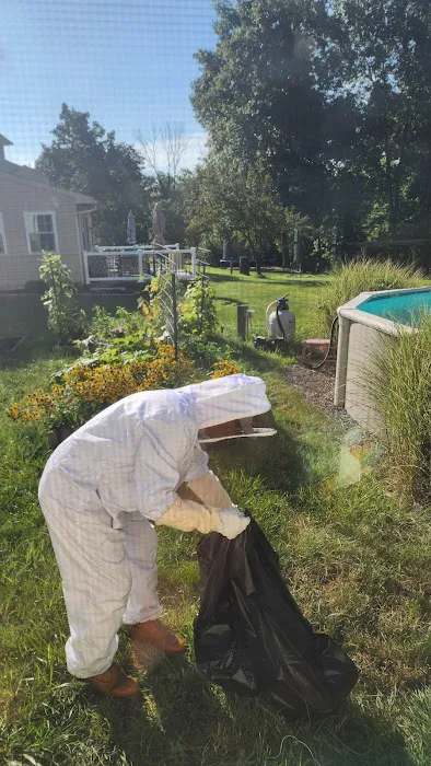 Greenix Pest Control Picture 10