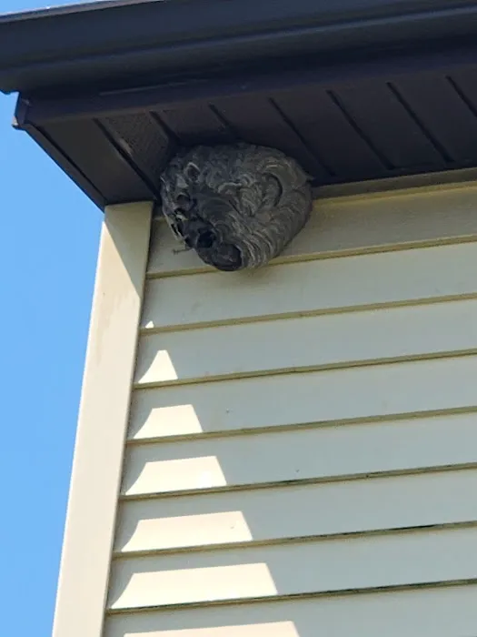 Prudential Pest Solutions Picture 4