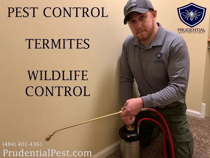 Prudential Pest Solutions Picture 8