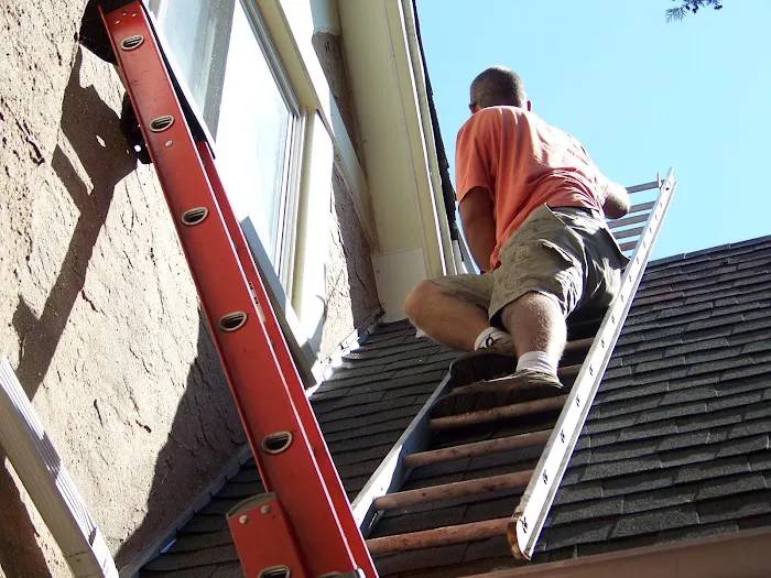Seitz Wildlife & Chimney Services Picture 9