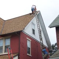 Seitz Wildlife & Chimney Services ico