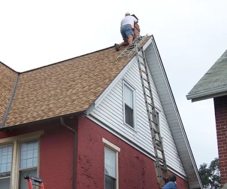 Seitz Wildlife & Chimney Services