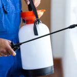 Beck Pest Control