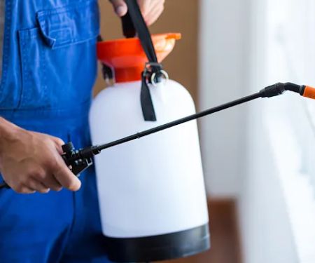 Beck Pest Control