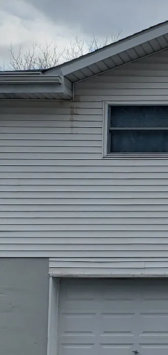 Trinity Pest Management, LLC Picture 1