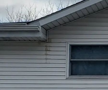 Trinity Pest Management, LLC