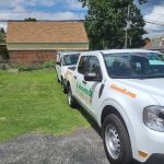 A Amendt Pest Control