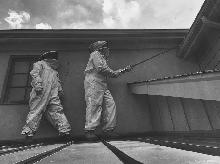Zap Pest Control LLC Picture 2
